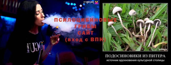 мет Щигры