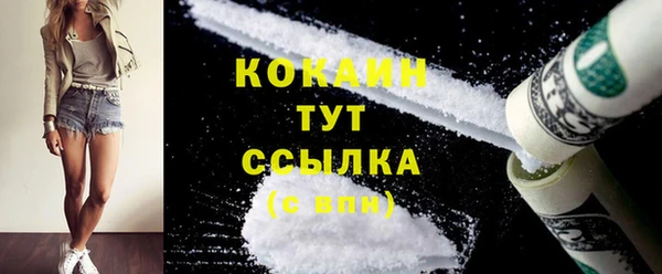 мет Щигры
