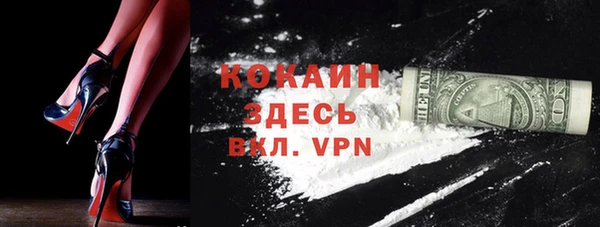 мет Щигры