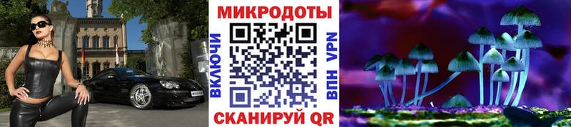 Купить закладки  Плавск  Псилоцибиновые грибы Psilocybe 